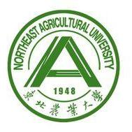 k8凯发官网入口